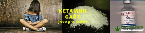 трава Балахна