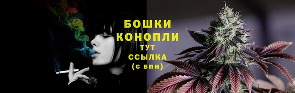 трава Балахна